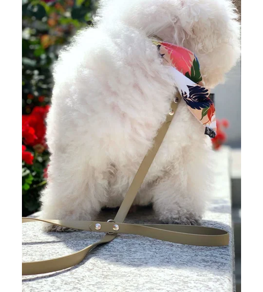 Khaki Biothane Dog Lead