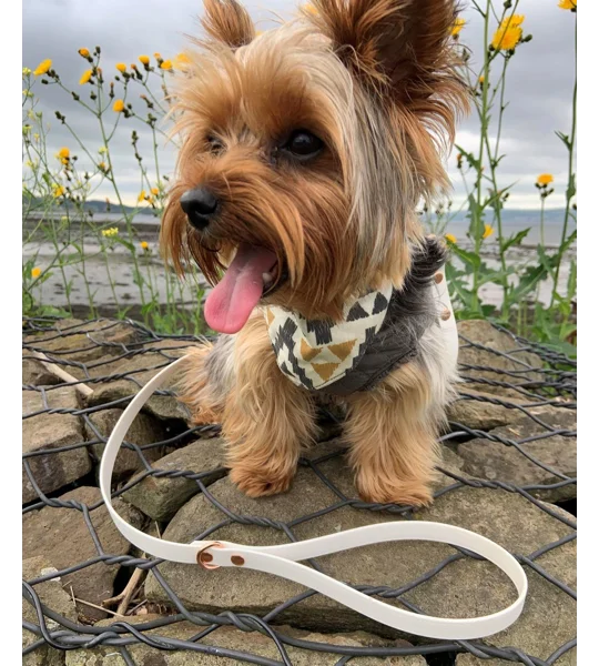 White Biothane Dog Lead