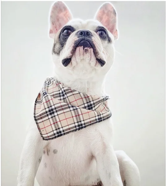 Barkberry Plaid Bandana