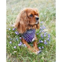 Frayed Buffalo Purple Plaid Bandana - Scamps