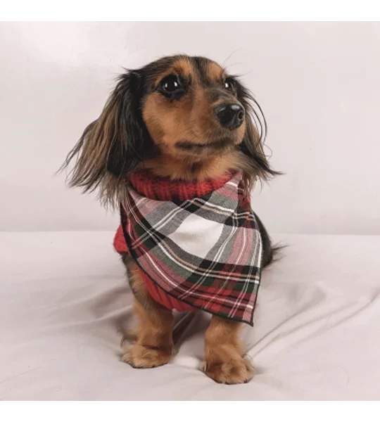 Alfies Red & White Tartan Plaid Bandana