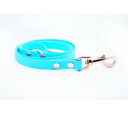 Baby Blue Biothane Dog Lead
