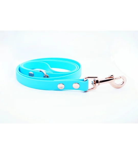 Baby Blue Biothane Dog Lead