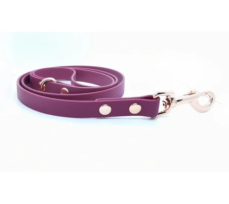 Red Wine Biothane Dog Lead