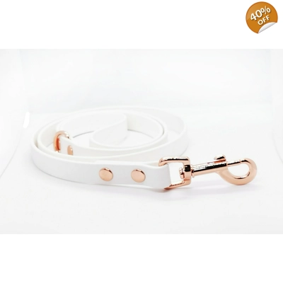White Biothane Dog Lead