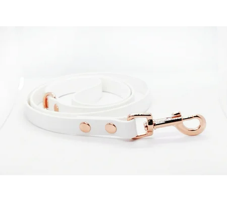 White Biothane Dog Lead