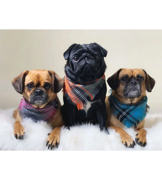 Frayed Buffalo Blue Plaid Bandana - Scamps