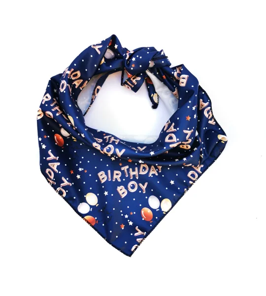 Blue Birthday BOY Dog Bandana