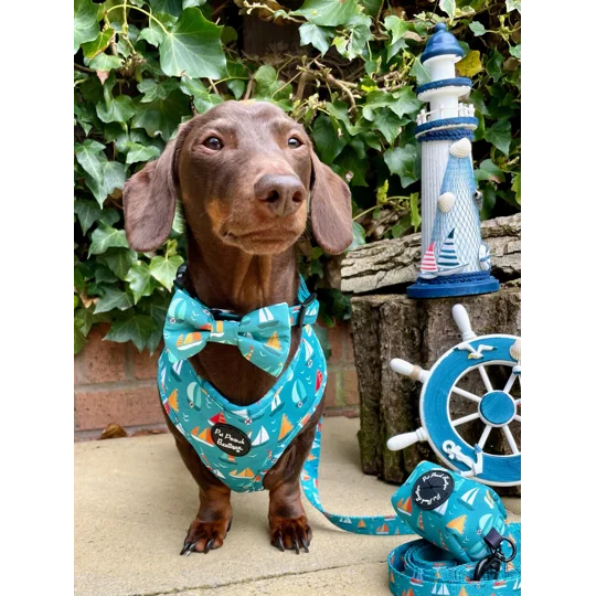Ahoy Sea Dog Bow Tie