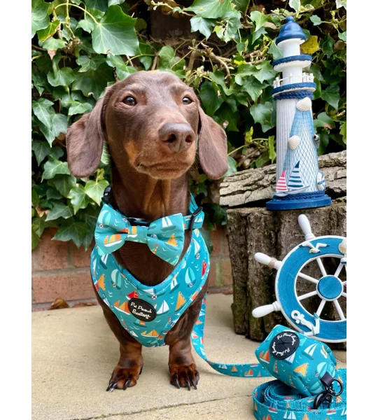 Ahoy Sea Dog Bow Tie
