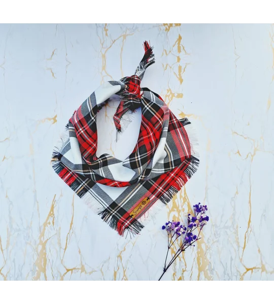 FRAYED Alfies Red & White Plaid Bandana - Scamps