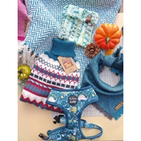 Dino Rawr Dog Harness  - optional bow tie accessory Dino Rawr Dog Harness  - optional bow tie accessory