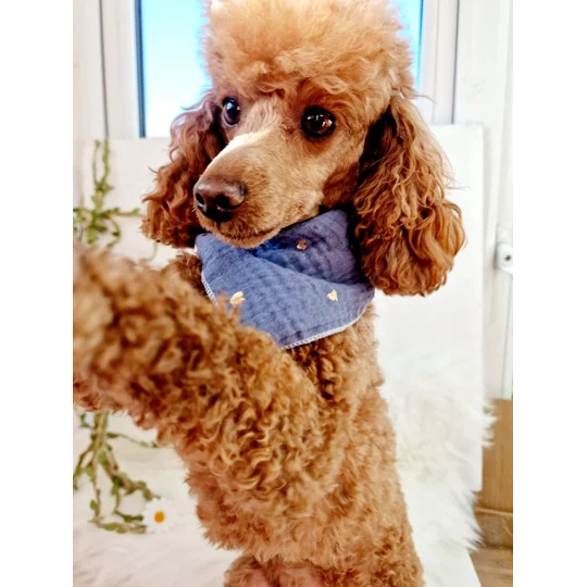 Ash Blue Heart of Gold Dog Bandana