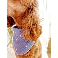 Ash Blue Heart of Gold Dog Bandana