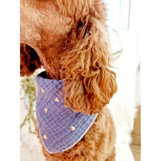 Ash Blue Heart of Gold Dog Bandana