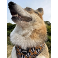 Woodland Badger Dog Harness