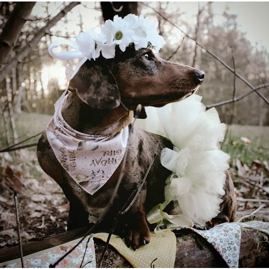 Pink Birthday GIRL Dog Bandana