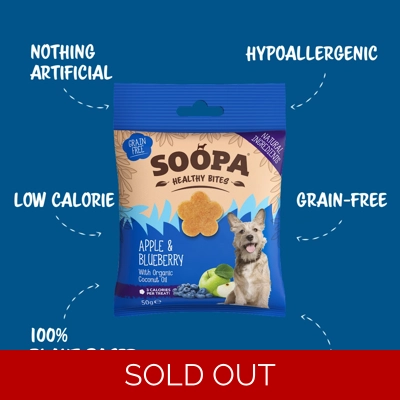 Apple & Blueberry Healthy Bites