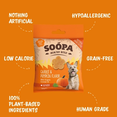 Carrot & Pumpkin Healthy Bites Carrot & Pumpkin Healthy Bites