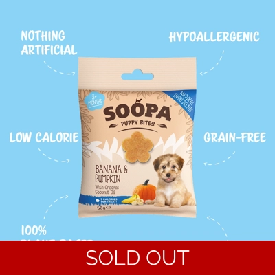 Banana & Pumpkin Healthy Training Bites for Puppies Banana & Pumpkin Healthy Training Bites for Puppies