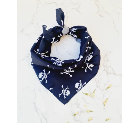 Black Skulls Bandana