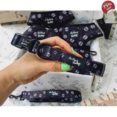 Black Skulls Dog Collar Black Skulls Dog Collar