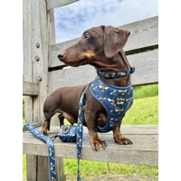 Blue Buzzy Bumble Bee Dog Harness