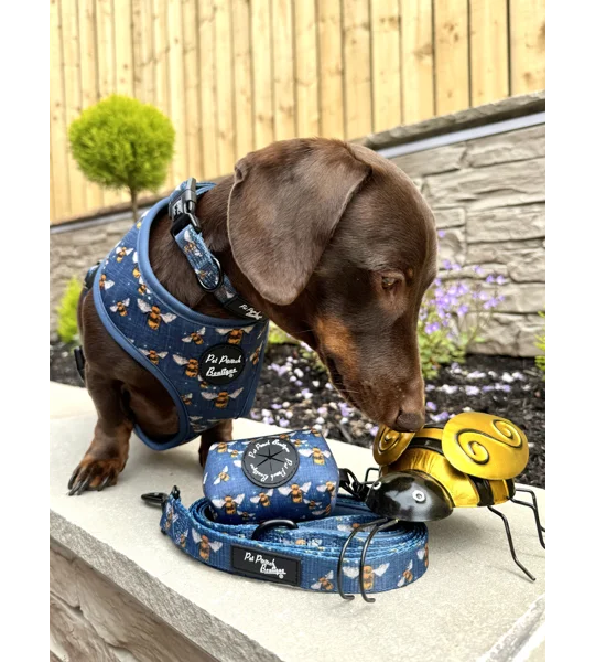 Blue Buzzy Bumble Bee Dog Collar