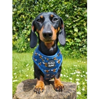 Blue Buzzy Bumble Bee Dog Harness