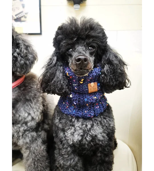 Blue Confetti Roll Top Dog Snood