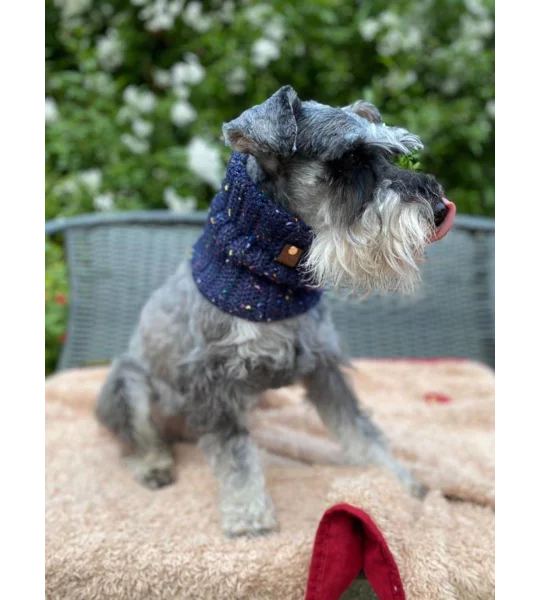 Blue Confetti Roll Top Dog Snood
