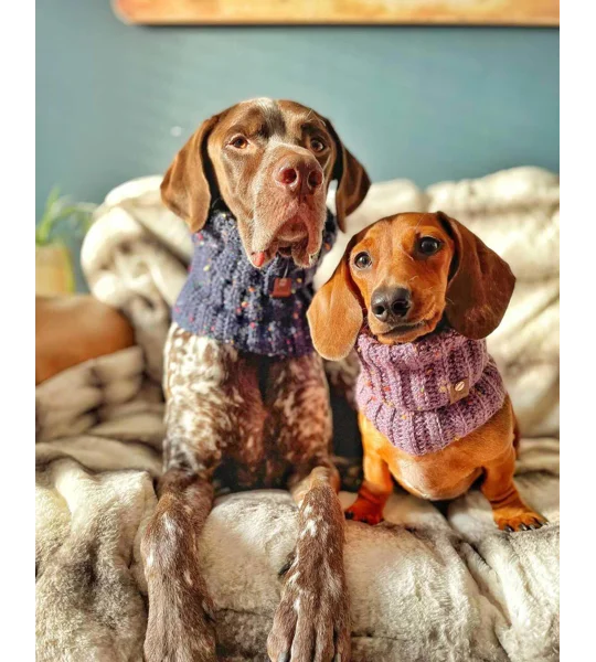 Lilac Roll Top Dog Snood