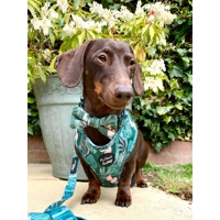 Boho Leaves Dog Bow Tie
