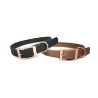 Camel Biothane Dog Collar - Optional Fittings