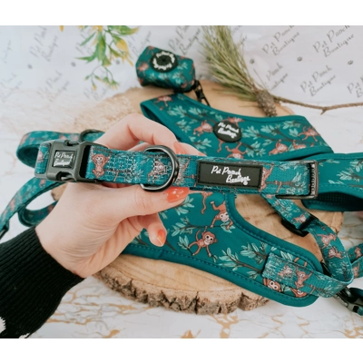 Cheeky Monkey Dog Collar Cheeky Monkey Dog Collar
