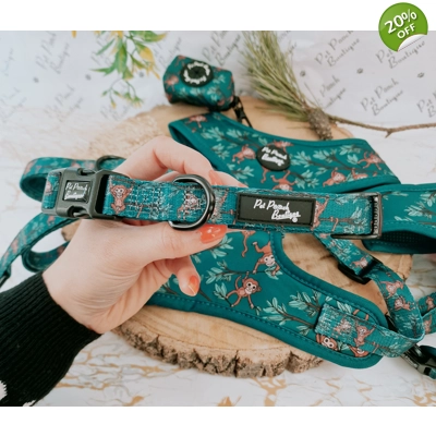 Cheeky Monkey Dog Collar