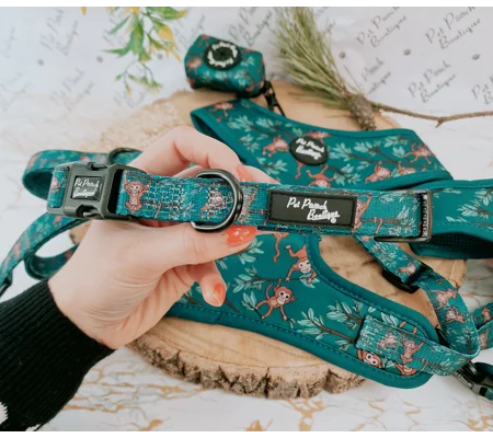 Cheeky Monkey Dog Collar