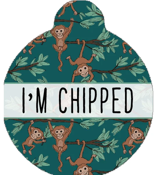 Cheeky Monkey Custom ID Dog Tag - NEW STYLE