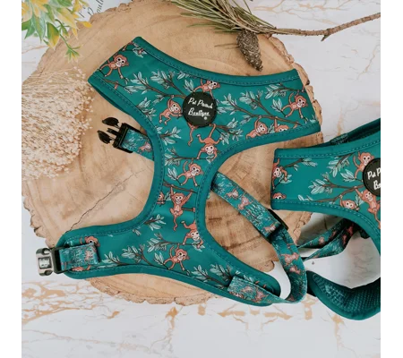 Cheeky Monkey Dog Harness