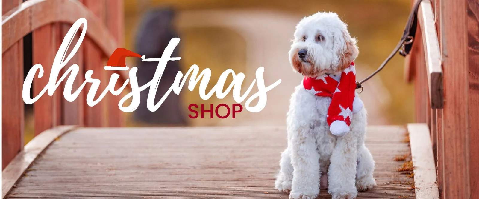 Christmas Shop