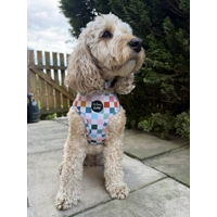 Chunky Check Dog Harness