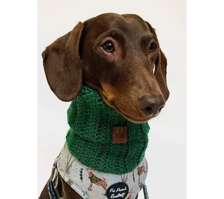 Clover Green Roll Top Dog Snood