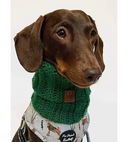 Clover Green Roll Top Dog Snood