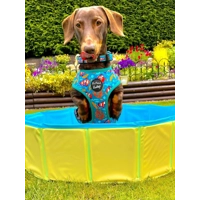 Under The Sea Dog Collar