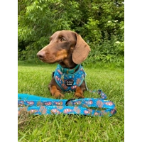 Under The Sea Dog Harness