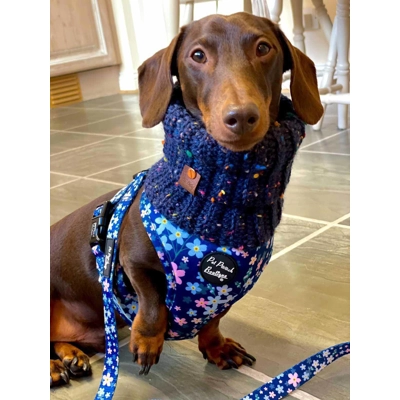 Blue Confetti Roll Top Dog Snood Blue Confetti Roll Top Dog Snood