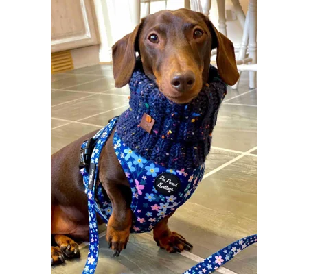 Blue Confetti Roll Top Dog Snood