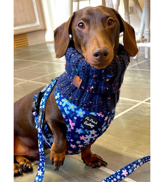 Blue Confetti Roll Top Dog Snood