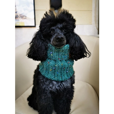Conifer Green Roll Top Dog Snood Conifer Green Roll Top Dog Snood