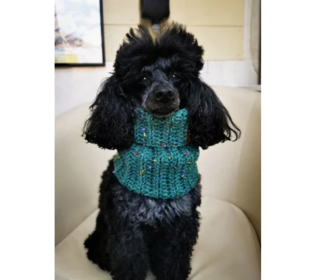 Conifer Green Roll Top Dog Snood